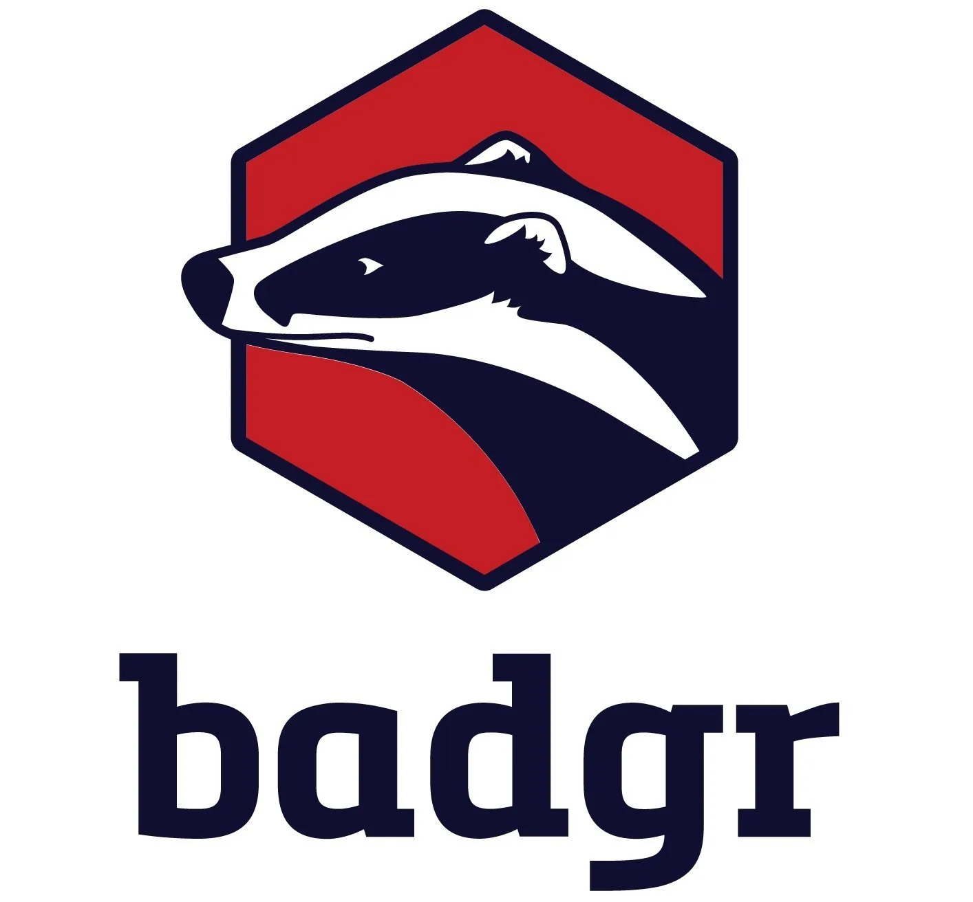 Logotipo Badgr